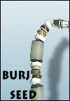 philippines natural components burj seed